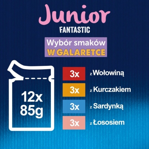 Felix Fantastic Junior Karma dla kociąt wybór smaków w galaretce 12 x 85 g Felix Fantastic Junior Karma dla kociąt wybór smaków w galaretce 12 x 85 g