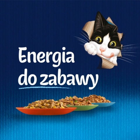 Felix Fantastic Karma dla kotów rybne smaki w galaretce 12 x 85 g Felix Fantastic Karma dla kotów rybne smaki w galaretce 12 x 85 g