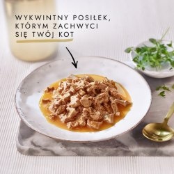 Gourmet Gold Karma dla kotów kawałki w smakowitym sosie z kurczakiem 85 g Gourmet Gold Karma dla kotów kawałki w smakowitym sosie z kurczakiem 85 g