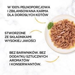 Gourmet Gold Karma mokra dla kotów dorosłych z rybą oceaniczną 85 g Gourmet Gold Karma mokra dla kotów dorosłych z rybą oceaniczną 85 g