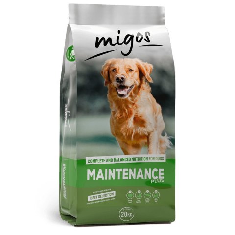 Migos Maintenance plus 20kg Migos Migos Maintenance plus 20kg Migos