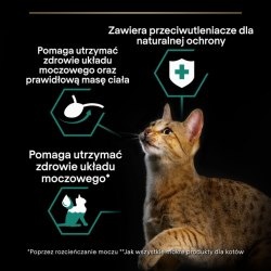 PRO PLAN Sterilised Maintenance Karma dla kotów z wołowiną w sosie 85 g PRO PLAN Sterilised Maintenance Karma dla kotów z wołowiną w sosie 85 g