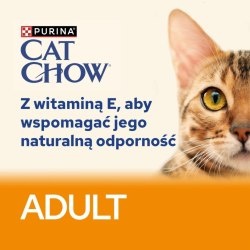 CAT CHOW Adult Mokra karma dla kotów z wołowiną i bakłażanem 85 g galaretka CAT CHOW Adult Mokra karma dla kotów z wołowiną i bakłażanem 85 g galaretka