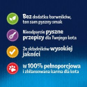 FELIX Fantastic Mokra karma dla kotów z wołowiną w galaretce 85 g