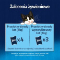FELIX Fantastic Mokra karma dla kotów z wołowiną w galaretce 85 g
