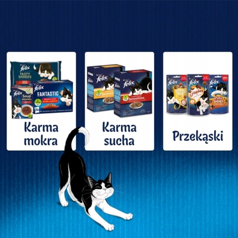 Felix Fantastic Karma dla kotów Wołowina Kurczak w galaretce 4 x 85 g Felix Fantastic Karma dla kotów Wołowina Kurczak w galaretce 4 x 85 g