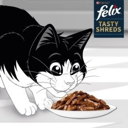 Felix Tasty Shreds Karma dla dorosłych kotów indyk kaczka w sosie 4x 80 g Felix Tasty Shreds Karma dla dorosłych kotów indyk kaczka w sosie 4x 80 g