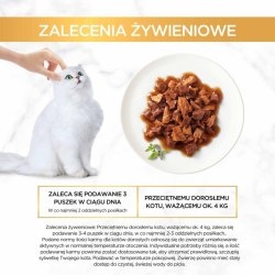 Gourmet Gold Karma dla kotów casserole z kaczką i indykiem w sosie 12x85 g Gourmet Gold Karma dla kotów casserole z kaczką i indykiem w sosie 12x85 g