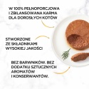 Gourmet Gold Karma mokra dla kotów pasztet z kawałkami królika 85 g