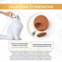Gourmet Gold Karma mokra dla kotów pasztet z kawałkami królika 85 g