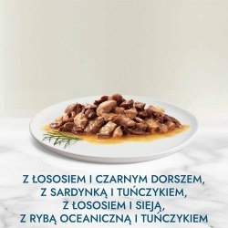 Gourmet Perle Karma mokra dla kotów dorosłych duet rybny 340 g (4 x 85 g) Gourmet Perle Karma mokra dla kotów dorosłych duet rybny 340 g (4 x 85 g)