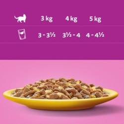 KARMA MOKRA DLA KOTA WHISKAS SASZETKA 85G KAWAŁKI KURCZAKA W GALARETCE KARMA MOKRA DLA KOTA WHISKAS SASZETKA 85G KAWAŁKI KURCZAKA W GALARETCE