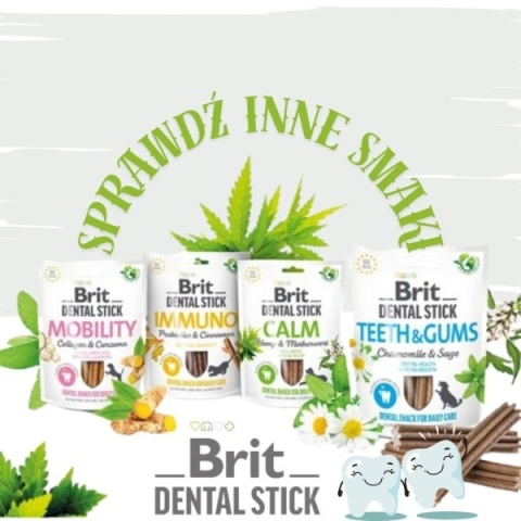 Brit Dental Stick Teeth Gums Chamomile& Sage przysmak dla psa na zęby 251g Brit Dental Stick Teeth Gums Chamomile& Sage przysmak dla psa na zęby 251g