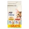 CAT CHOW Hairball Control Sucha karma dla kotów Bogata w Kurczaka 1,5kg + 2 SASZETKI GRATIS