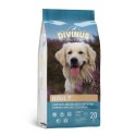 Divinus Adult dla psów dorosłych 20kg Divinus Divinus Adult dla psów dorosłych 20kg Divinus